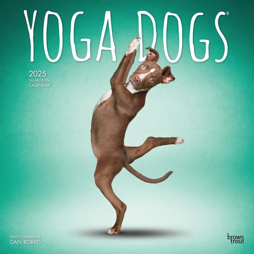 Yoga Dogs 2025 Wall Calendar