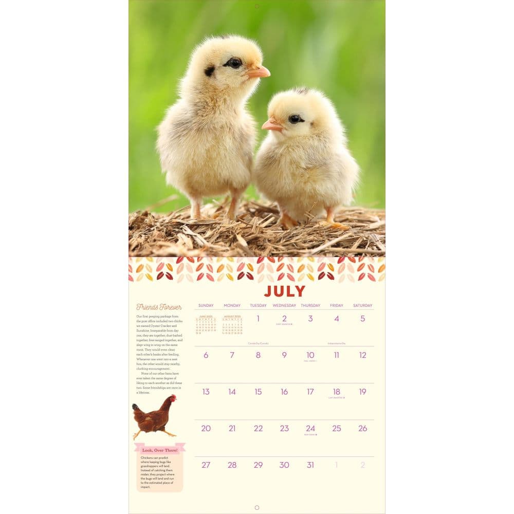 How to Speak Chicken 2025 Wall Calendar Third Alternate Image width="1000" height="1000"