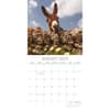 image Donkeys 2025 Wall Calendar Third Alternate Image width=&quot;1000&quot; height=&quot;1000&quot;