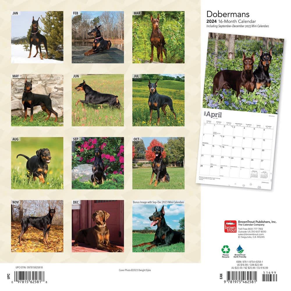 Dobermans 2024 Wall Calendar