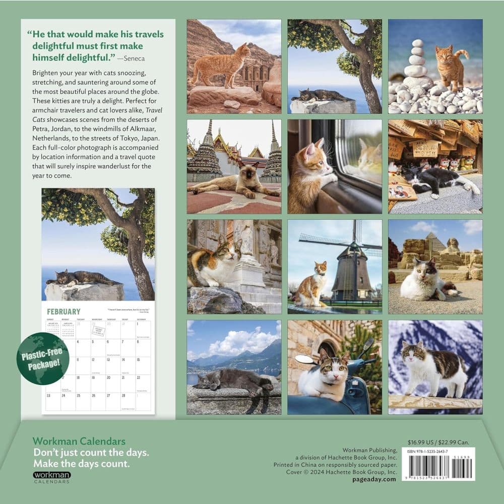 Travel Cats 2025 Wall Calendar Main Product Image First Alternate Image