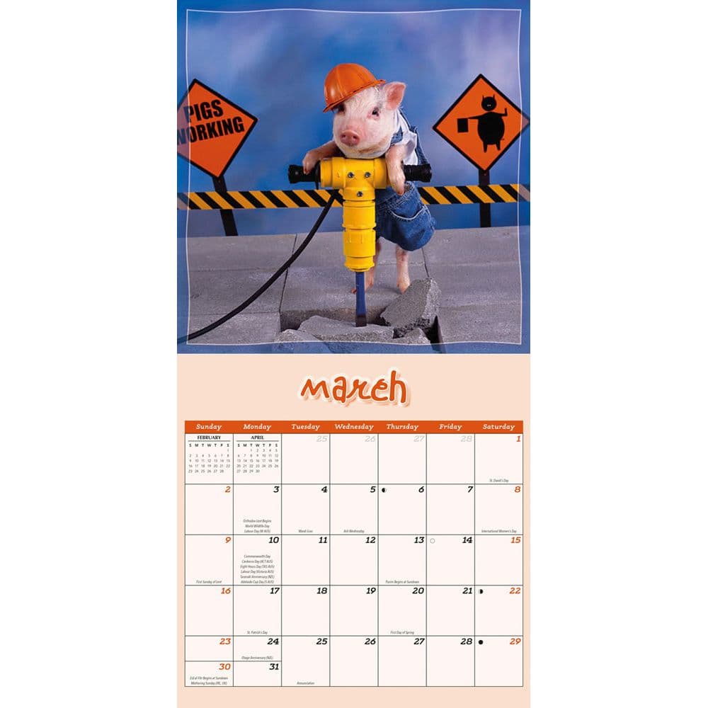 Pigs Playful 2025 Wall Calendar