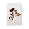 image Embroidered Butterflies Blank Card Sixth Alternate Image width=&quot;1000&quot; height=&quot;1000&quot;