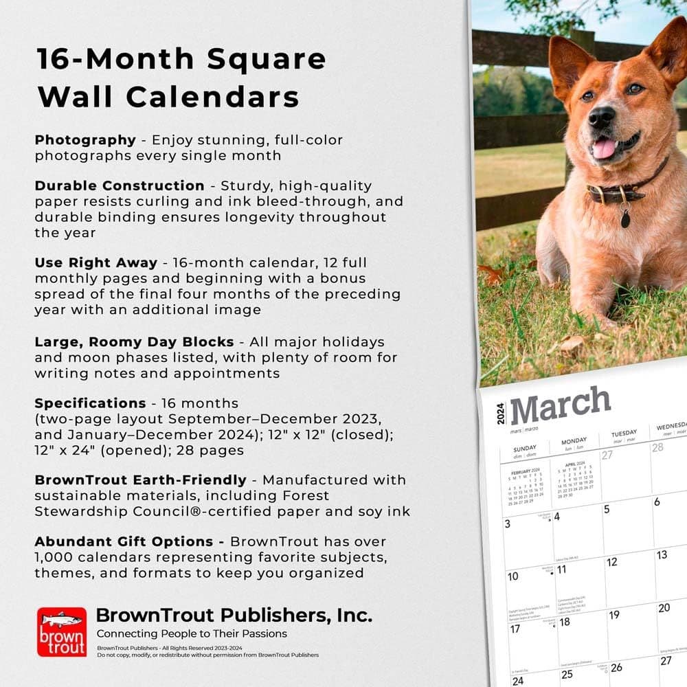 Red Heelers 2024 Wall Calendar Fourth Alternate Image width=&quot;1000&quot; height=&quot;1000&quot;