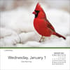 image Songbirds 2025 Desk Calendar First Alternate