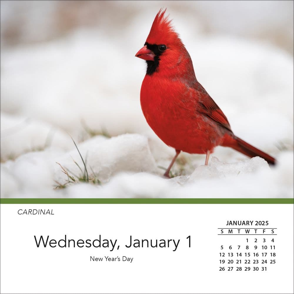 Songbirds 2025 Desk Calendar First Alternate