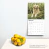 image Golden Retrievers 2025 Wall Calendar