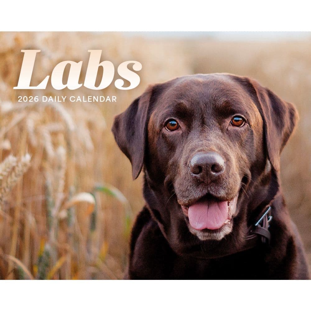 Labs 2026 Desk Calendar  Main Image
