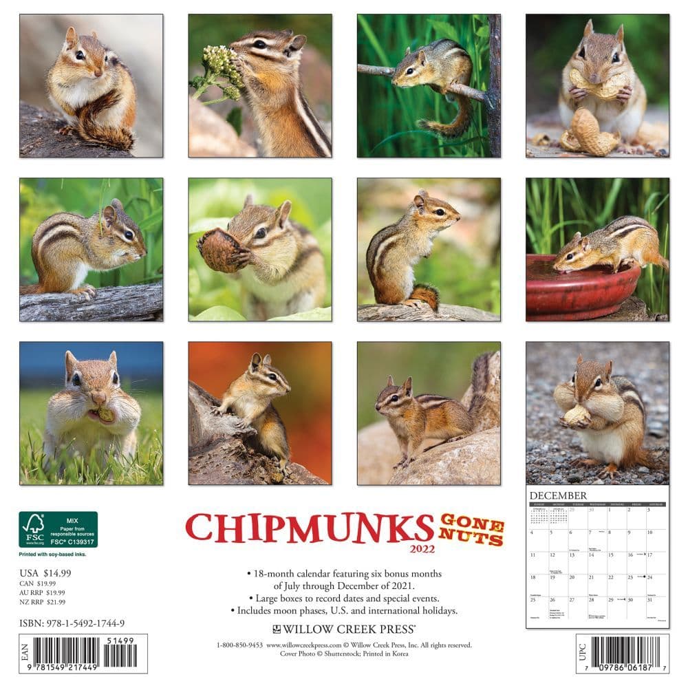 Chipmunks Gone Nuts 2022 Wall Calendar - Calendars.com