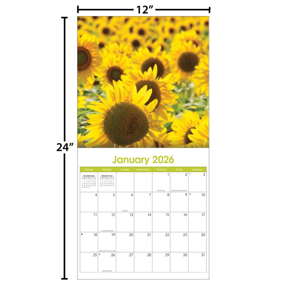 Sunflowers 2026 Wall Calendar_ALT5