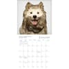image Dogma 2026 Mini Wall Calendar Second Alternate Image
