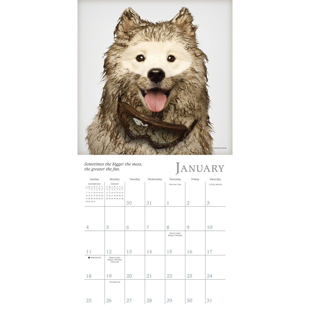 Dogma 2026 Mini Wall Calendar Second Alternate Image