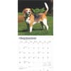 image Beagles 2025 Wall Calendar Second Alternate Image width=&quot;1000&quot; height=&quot;1000&quot;