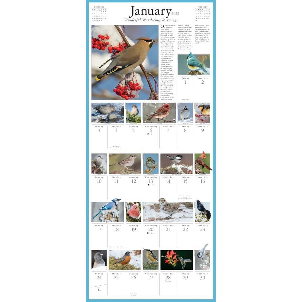 Audubon Songbirds And Other Backyard Birds 2022 Picture-A-Day Wall Calendar - Calendars.com