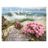 image Blue Ridge Parkway 2026 Wall Calendar Main Product Image
