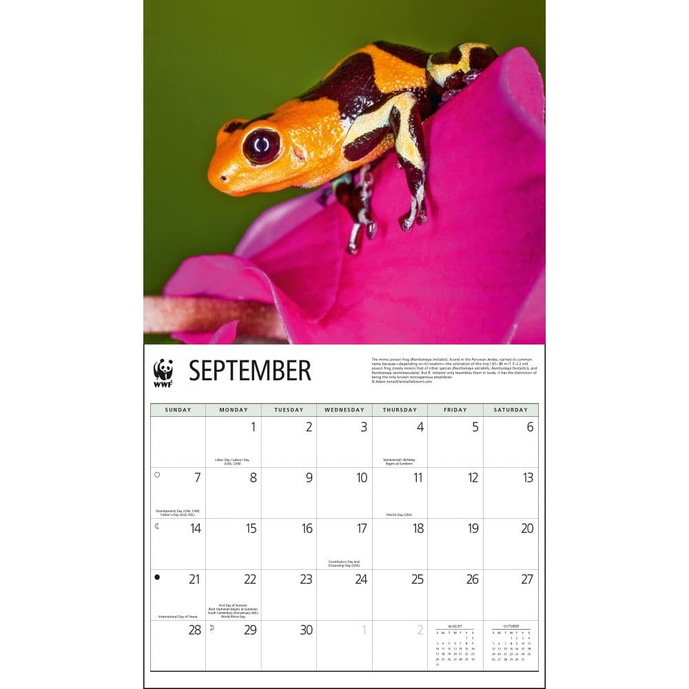 Frogs WWF 2025 Wall Calendar Second Alternate Image width="1000" height="1000"