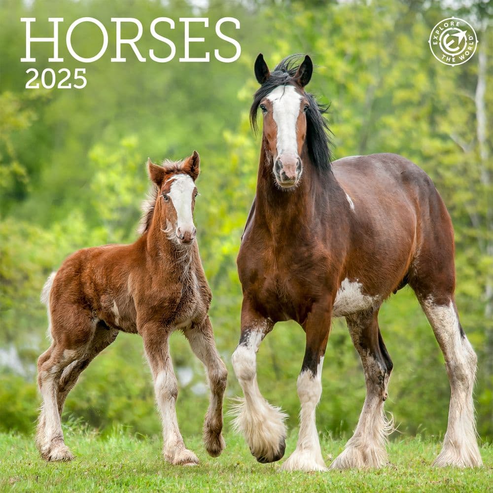 Horses 2025 Mini Wall Calendar