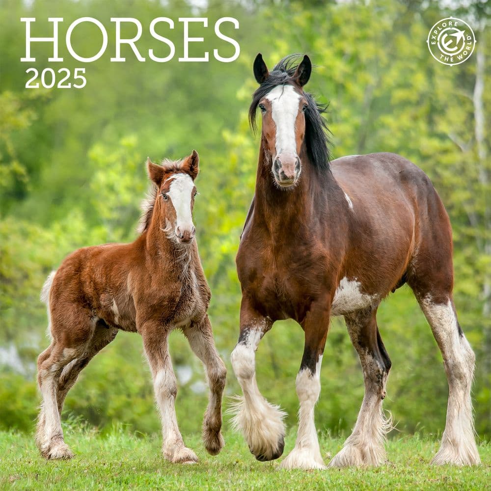 image Horses 2025 Mini Wall Calendar_Main Image