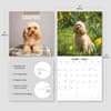 image Cavapoos 2027 Wall Calendar Third Alternate Image