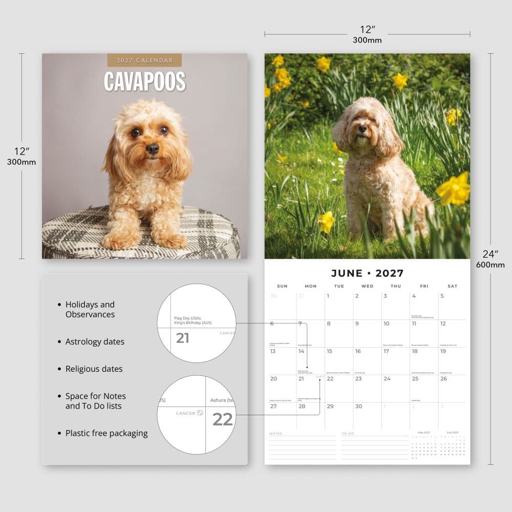 Cavapoos 2027 Wall Calendar Third Alternate Image