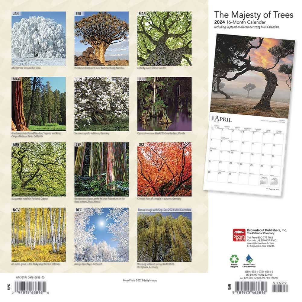 World&#39;s Greatest Trees 2024 Wall Calendar First Alternate Image width=&quot;1000&quot; height=&quot;1000&quot;