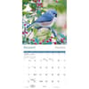 image Songbirds 2025 Wall Calendar Second Alternate Image width=&quot;1000&quot; height=&quot;1000&quot;