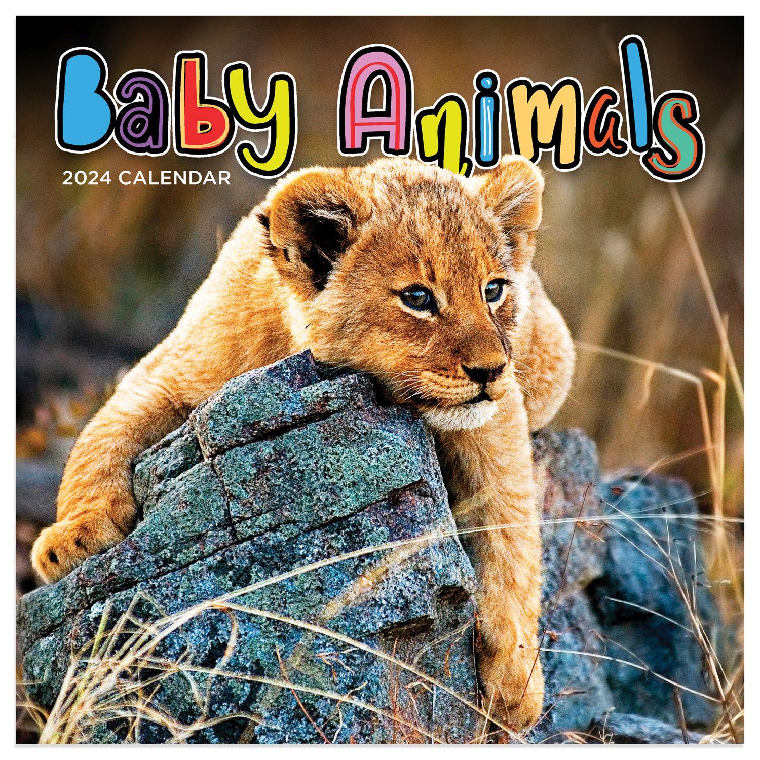 Baby Animals Wildlife 2024 Mini Wall Calendar