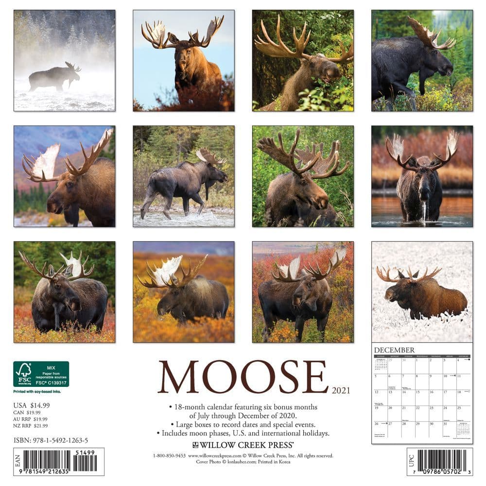 Just Moose Wall Calendar