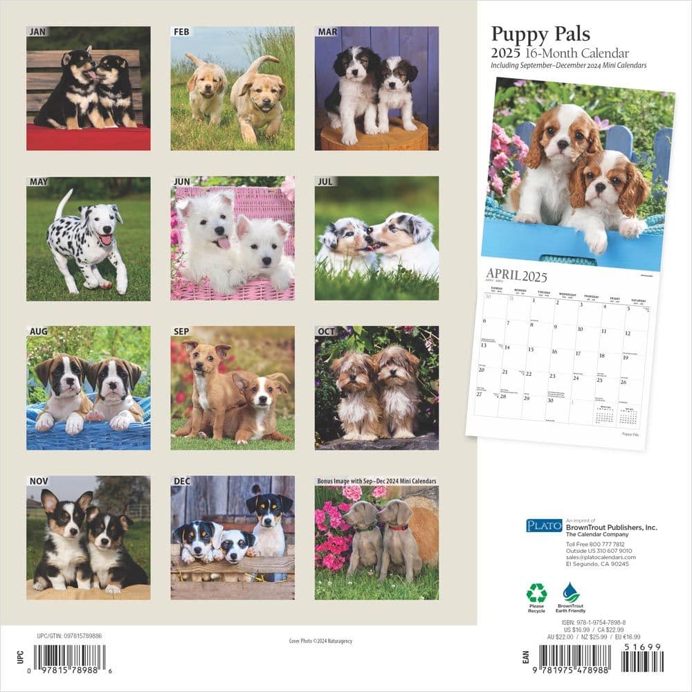 Puppy Pals Plato 2025 Wall Calendar First Alternate Image width=&quot;1000&quot; height=&quot;1000&quot;