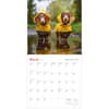 image Dogs on Vacation 2026 Wall Calendar