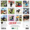 image Crusoe the Celebrity Dachshund 2025 Wall Calendar First Alternate Image width=&quot;1000&quot; height=&quot;1000&quot;