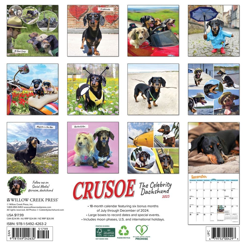 Crusoe the Celebrity Dachshund 2025 Wall Calendar First Alternate Image width=&quot;1000&quot; height=&quot;1000&quot;