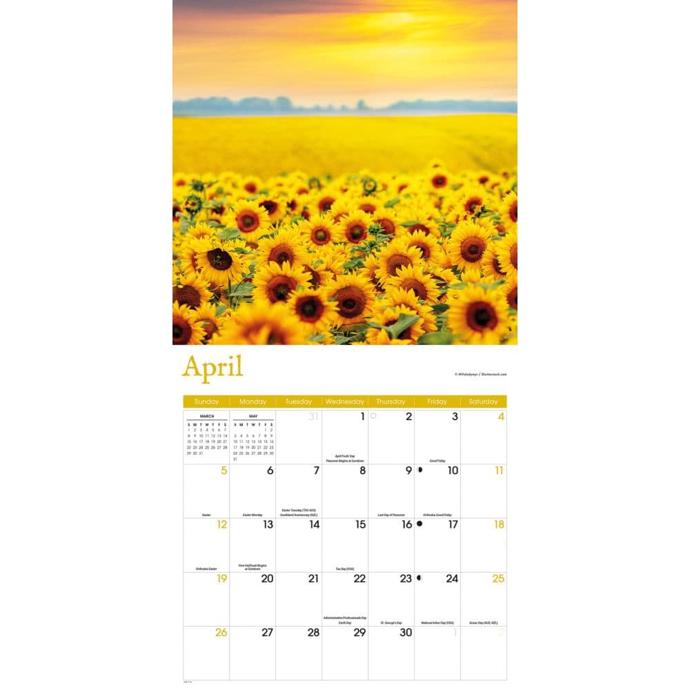 Sunflowers 2026 Wall Calendar Second Alternate Image
