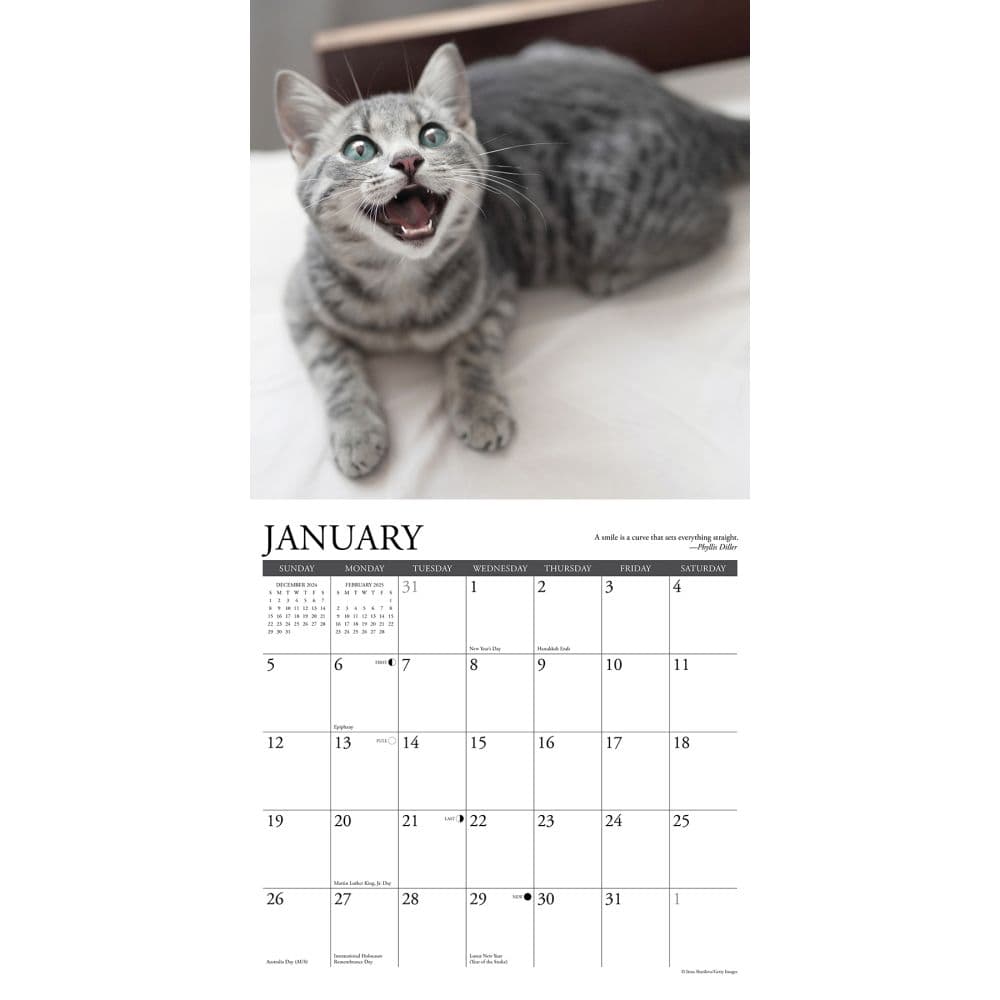 Happy Cats 2025 Wall Calendar Second Alternate Image width="1000" height="1000"