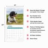 image English Springer Spaniels 2025 Wall Calendar Fourth Alternate Image width="1000" height="1000"