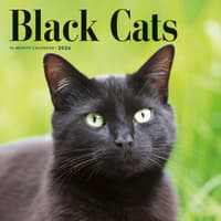image Black Cats 2026 Wall Calendar Main Image