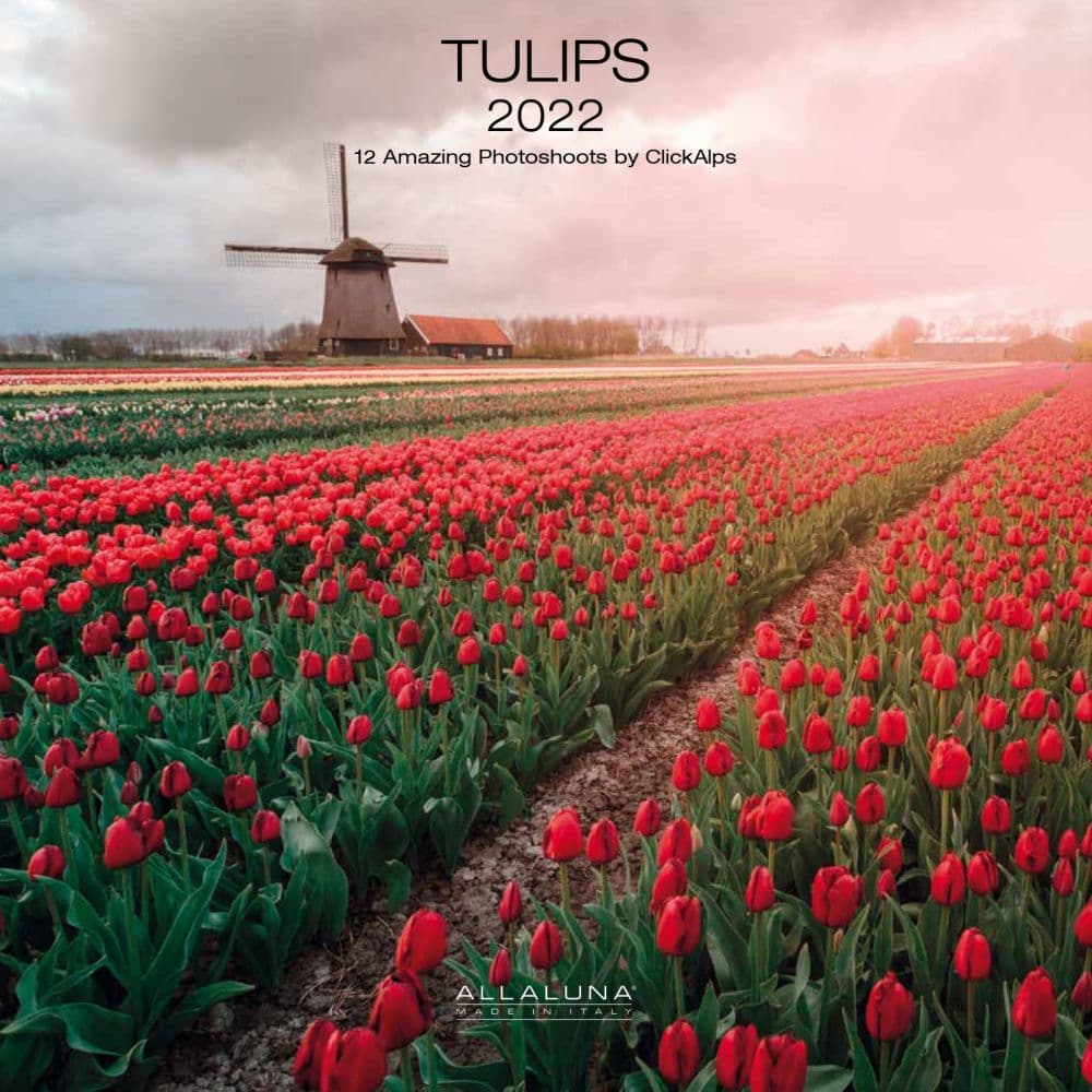 Tulips Alla Luna 2022 Wall Calendar
