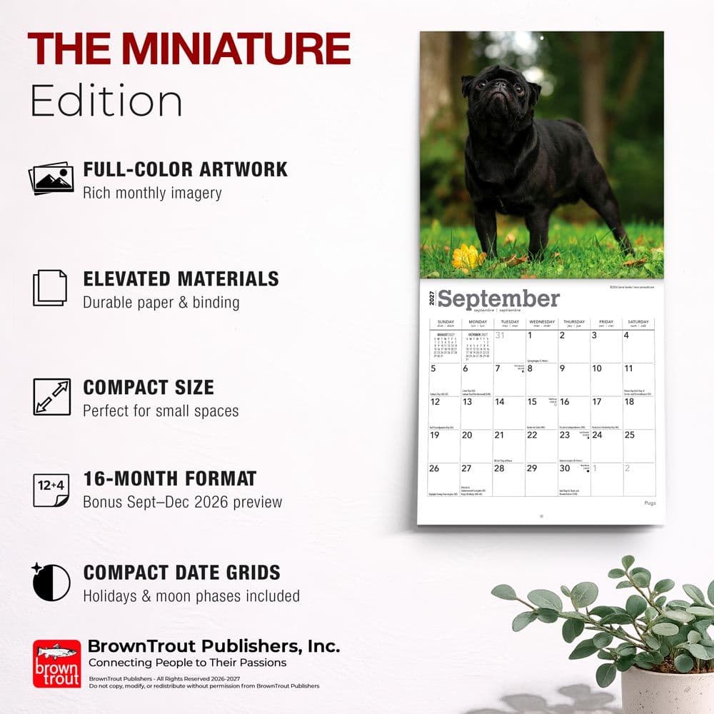 Pugs 2027 Mini Wall Calendar Fifth Alternate Image