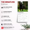 image Pugs 2027 Mini Wall Calendar Fifth Alternate Image