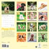 image Puppy Love ASPCA 2024 Wall Calendar