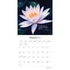 image Jewel of the Lotus 2024 Wall Calendar Second Alternate Image width=&quot;1000&quot; height=&quot;1000&quot;