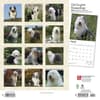 image Old English Sheepdogs 2024 Wall Calendar First Alternate Image width=&quot;1000&quot; height=&quot;1000&quot;