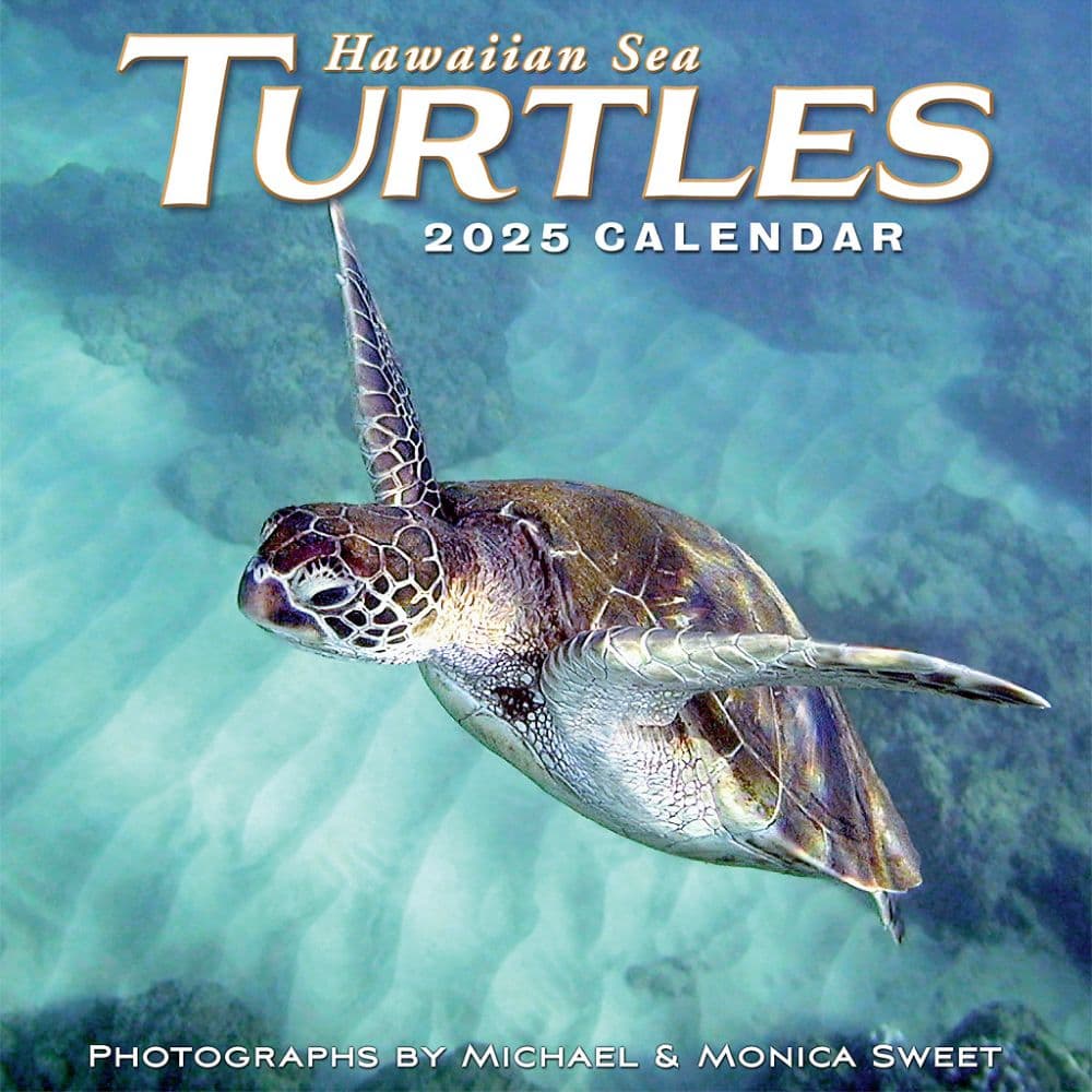 Hawaiian Sea Turtles 2025 Wall Calendar