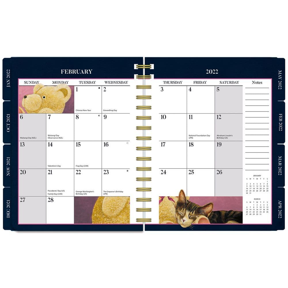  American  Cat 2022  Deluxe Planner Calendars  com