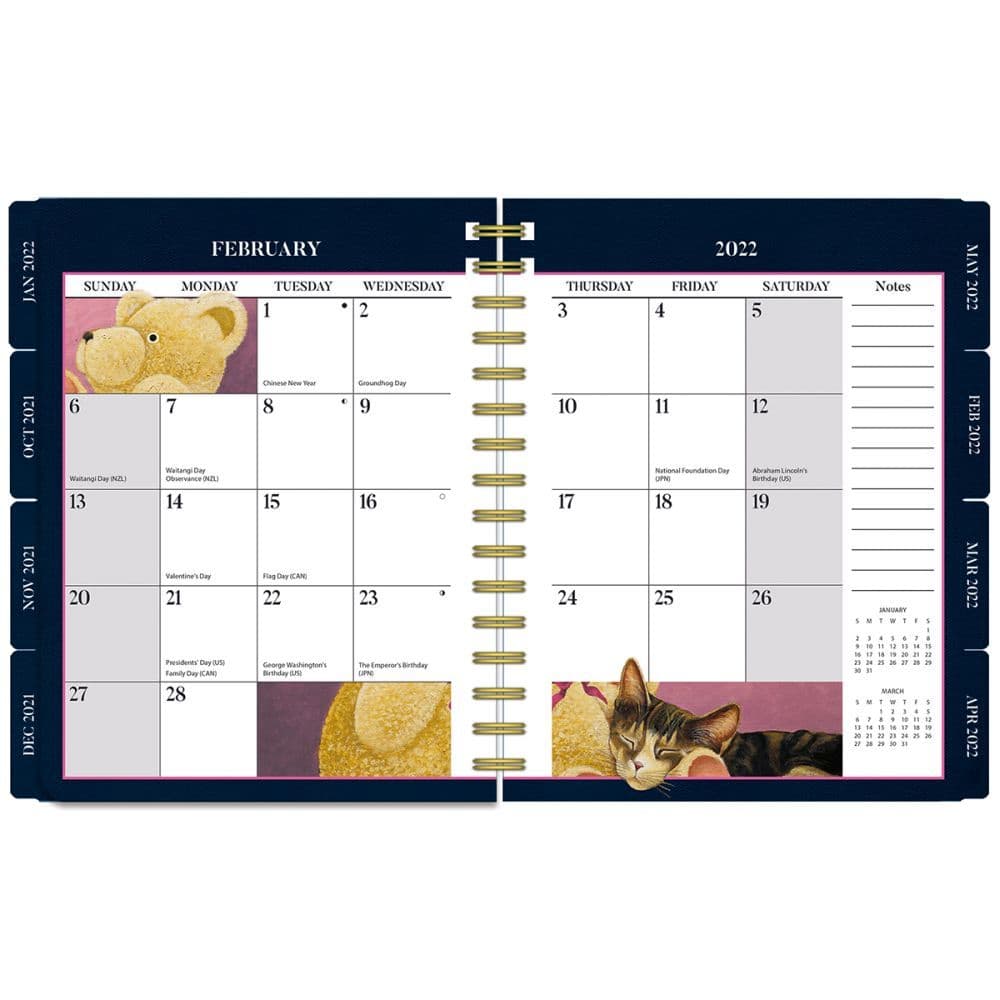 American Cat 2022 Deluxe Planner Calendars com American Cat 2022 Deluxe Planner Calendars com