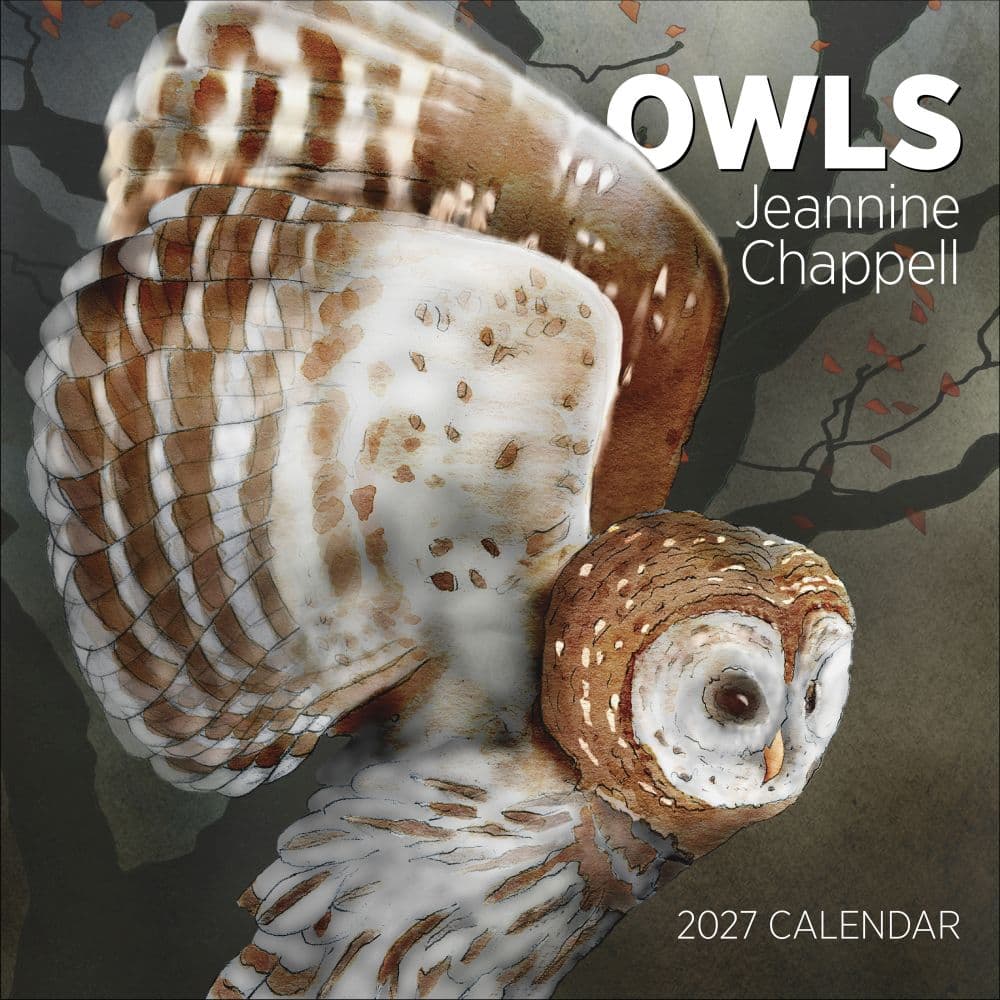 image Owls 2027 Wall Calendar by Jeannine Chappel Main  Product Image