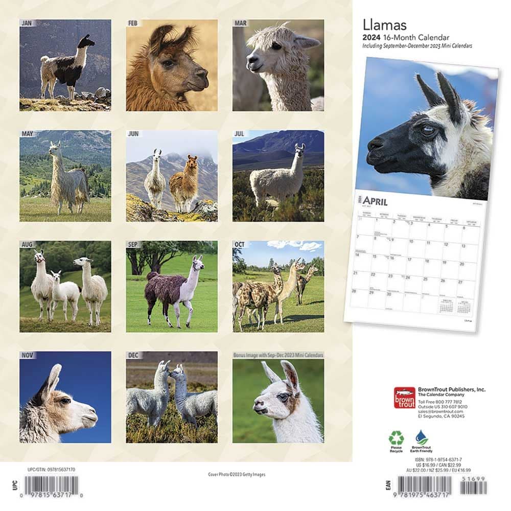 Llamas 2024 Wall Calendar