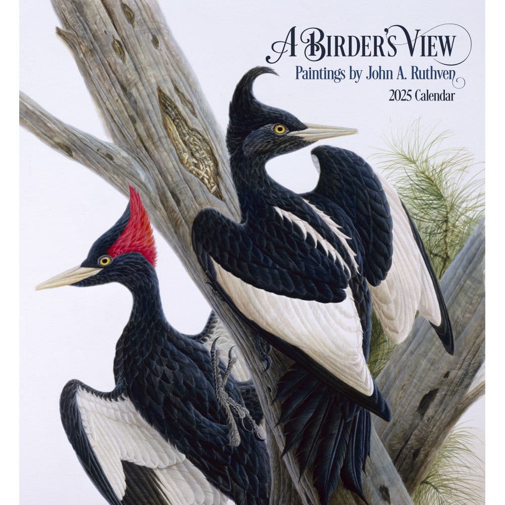 Birders View Ruthven 2025 Wall Calendar Main Image