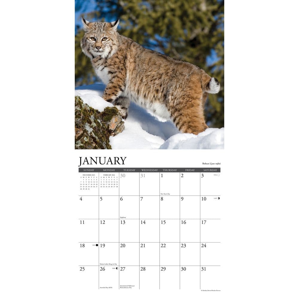 Rocky Mountain Wildlife 2026 Wall Calendar Second Alternate Image