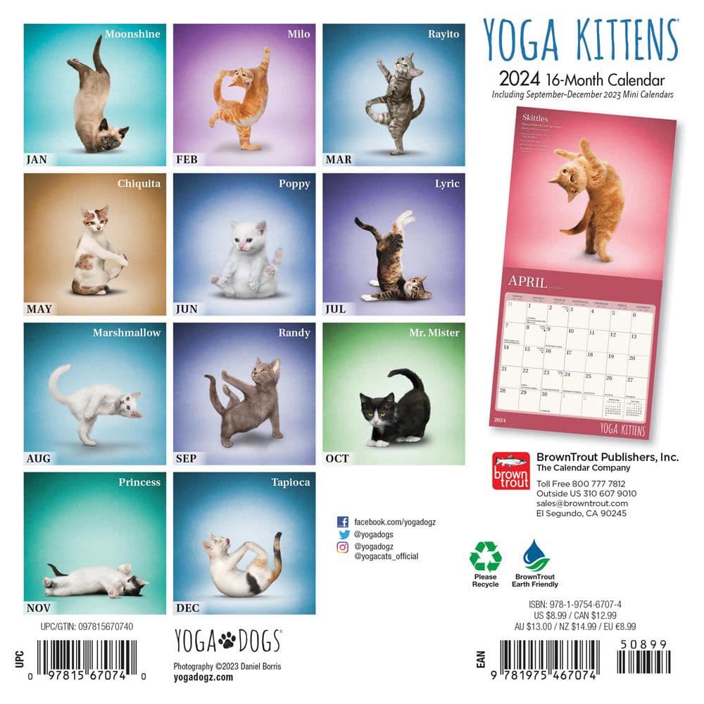 Yoga Kittens 2024 Mini Wall Calendar First Alternate Image width=&quot;1000&quot; height=&quot;1000&quot;